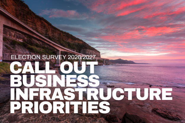 survey business priorities 