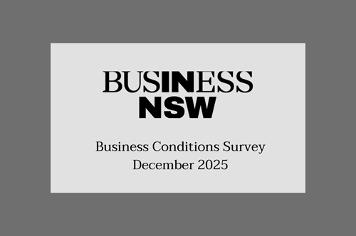 BNSW BCS Report - December 2025